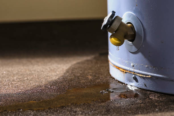 Best Water damage restoration services  in Hutchinson, MN