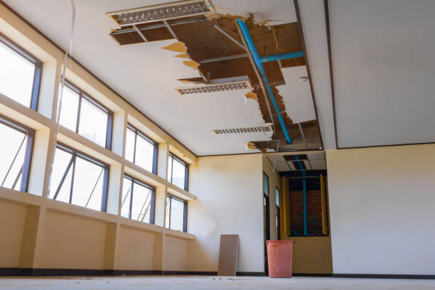Best Water damage restoration near me  in Hutchinson, MN