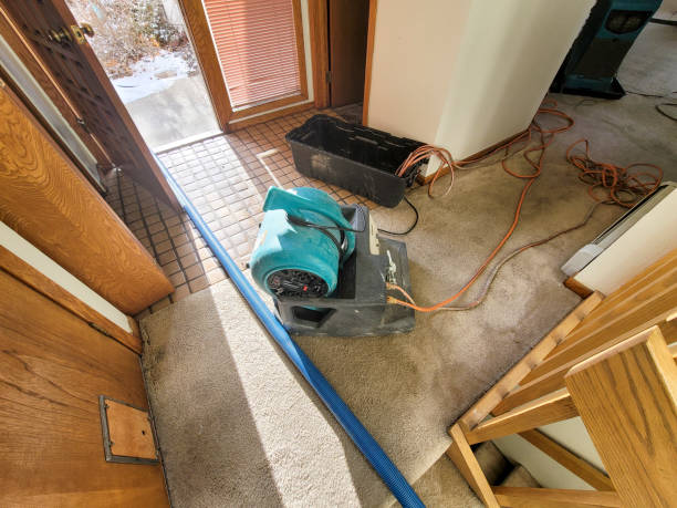 Best Water damage restoration near me  in Hutchinson, MN