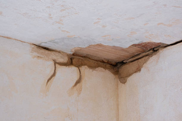 Best Water damage restoration specialists  in Hutchinson, MN