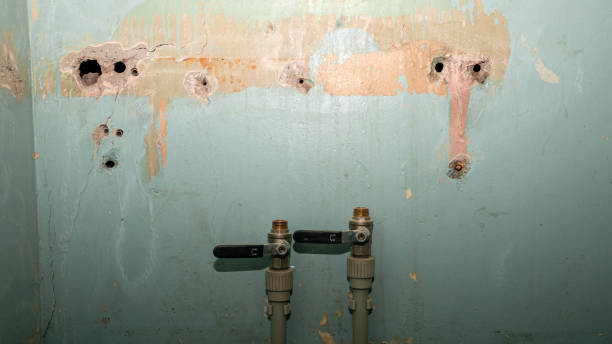 Best Basement water damage restoration  in Hutchinson, MN