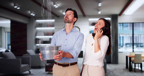 Best Basement water damage restoration  in Hutchinson, MN